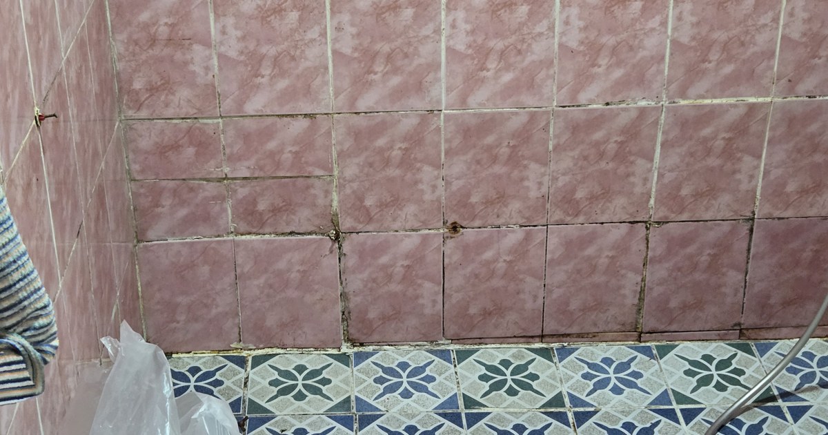 쓰레기집 자가진단 테스트 — 우리 집은 몇 단계일까요? 1