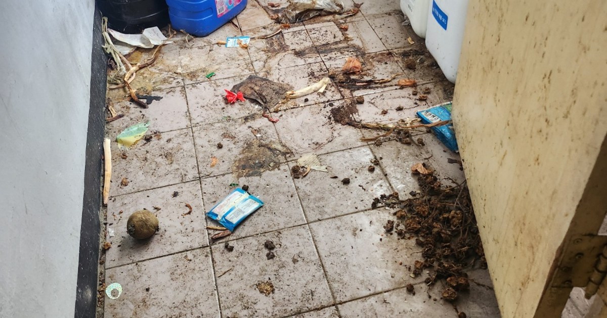 이사 폐기물 수거, 절차부터 비용까지 한 번에 정리 2