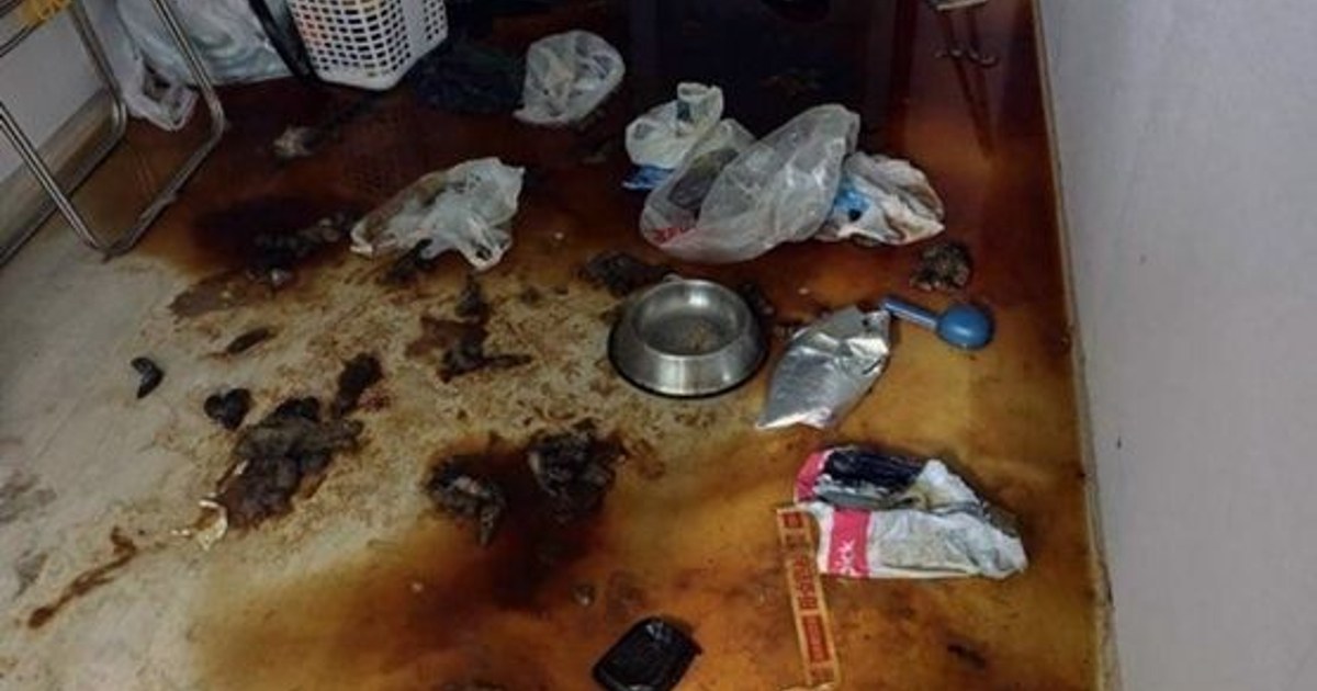 용산구 폐기물 처리, 어디서 어떻게 신청하면 되나요? 5