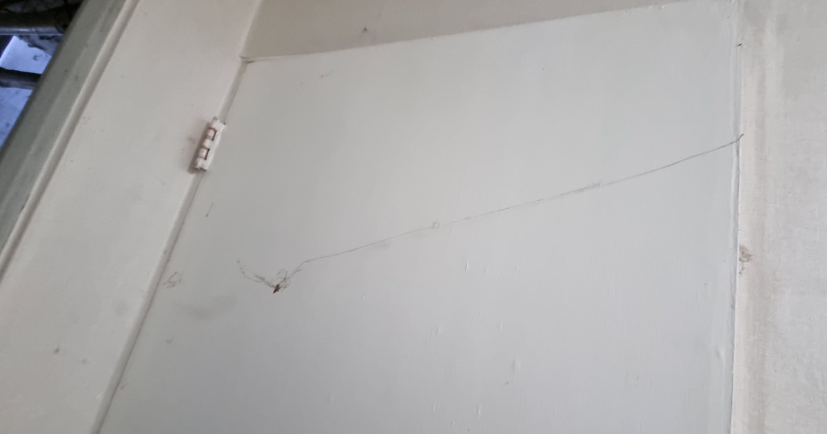 부모님유품정리, 상속 전 먼저 볼 점과 시기 1