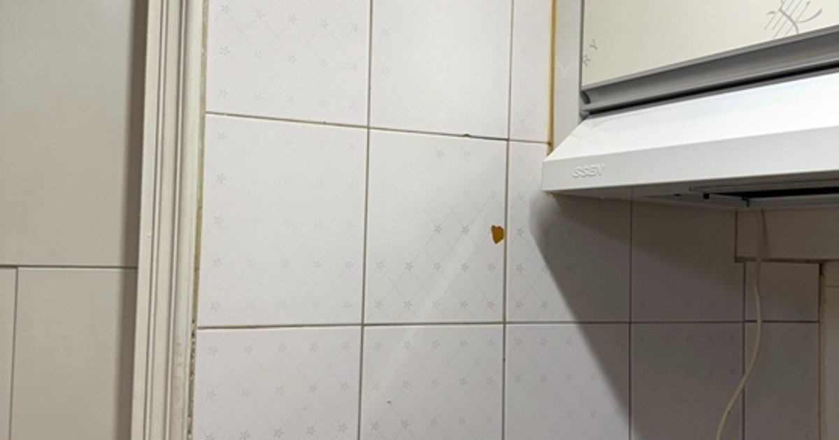 목재폐기물 처리 방법, 종류별로 버리는 법 완전 정리 5