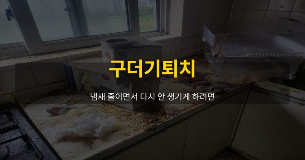구더기퇴치, 냄새 줄이면서 다시 안 생기게 하려면 - 여운 special-cleaning-tips