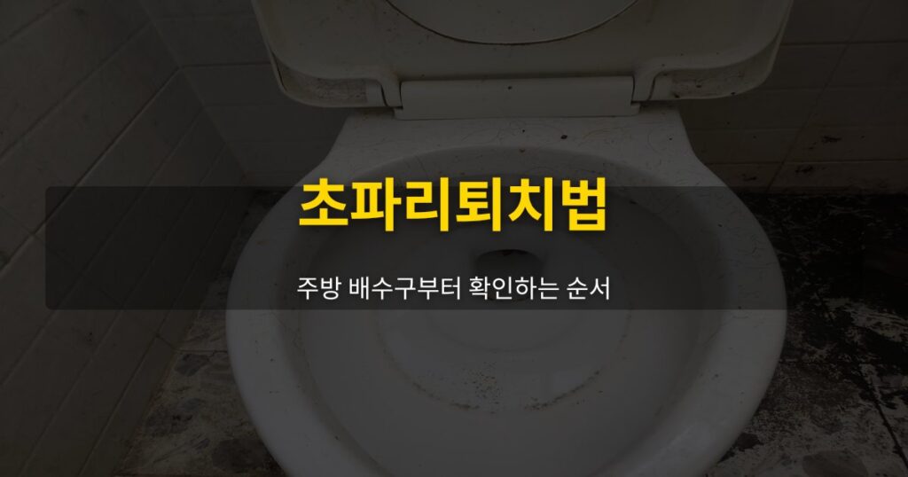 초파리퇴치법, 주방 배수구부터 확인하는 순서 - 여운 special-cleaning-tips