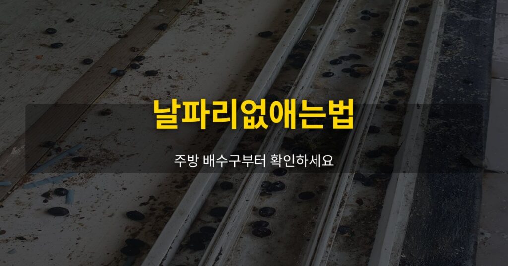 날파리없애는법, 주방 배수구부터 확인하세요 - 여운 special-cleaning-tips
