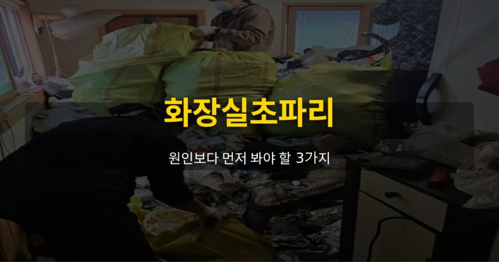 화장실초파리, 원인보다 먼저 봐야 할 3가지 - 여운 special-cleaning-tips
