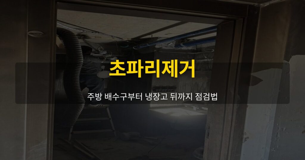 초파리제거, 주방 배수구부터 냉장고 뒤까지 점검법 - 여운 special-cleaning-tips