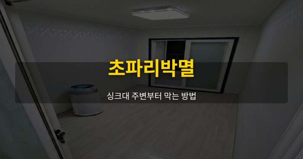 초파리박멸, 싱크대 주변부터 막는 방법 - 여운 special-cleaning-tips