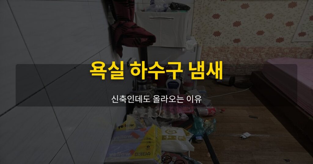욕실 하수구 냄새, 신축인데도 올라오는 이유 - 여운 special-cleaning-tips