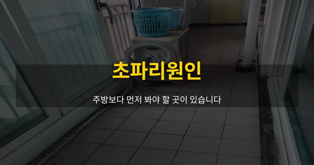 초파리원인, 주방보다 먼저 봐야 할 곳이 있습니다 - 여운 special-cleaning-tips