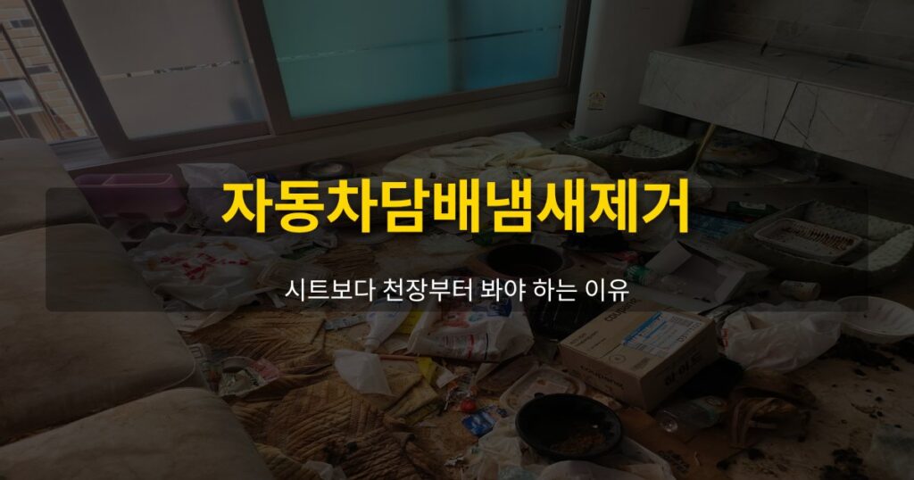 자동차담배냄새제거, 시트보다 천장부터 봐야 하는 이유 - 여운 special-cleaning-tips