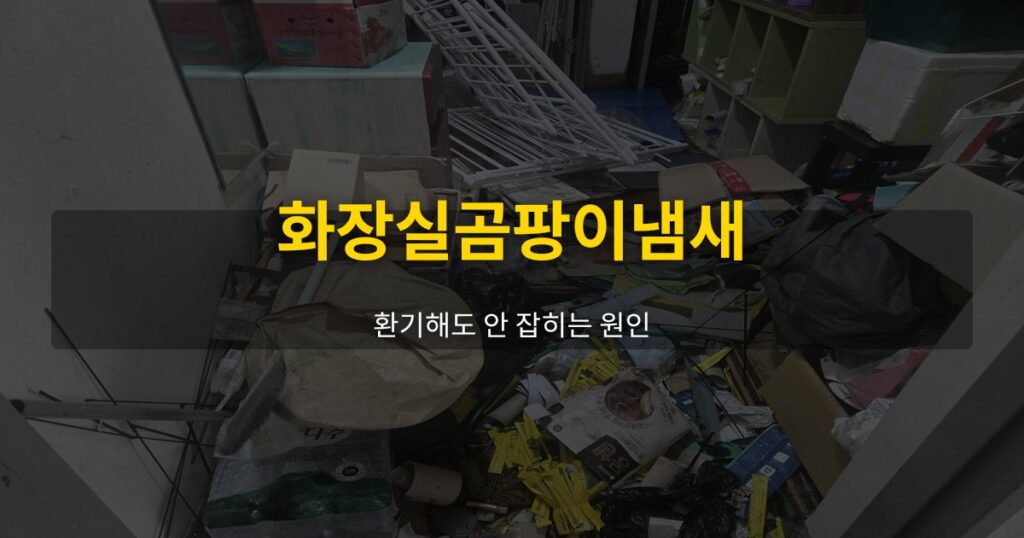 화장실곰팡이냄새, 환기해도 안 잡히는 원인 - 여운 special-cleaning-tips