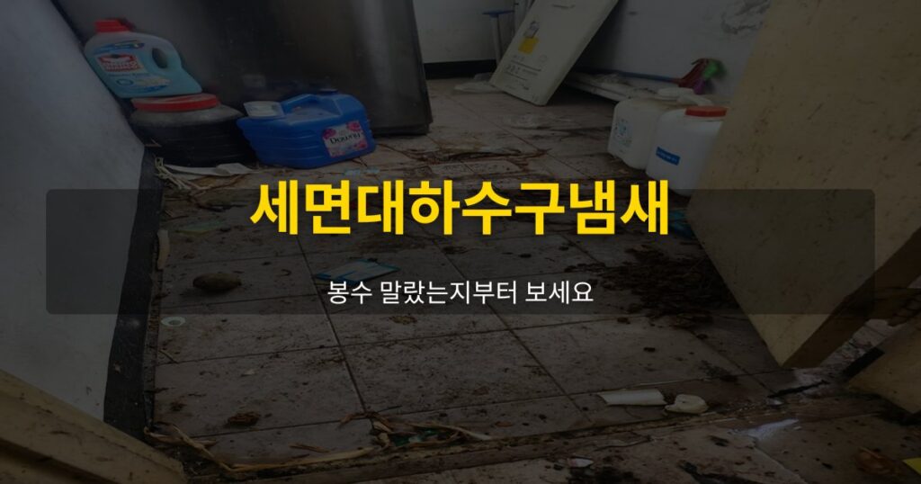 세면대하수구냄새, 봉수 말랐는지부터 보세요 - 여운 special-cleaning-tips