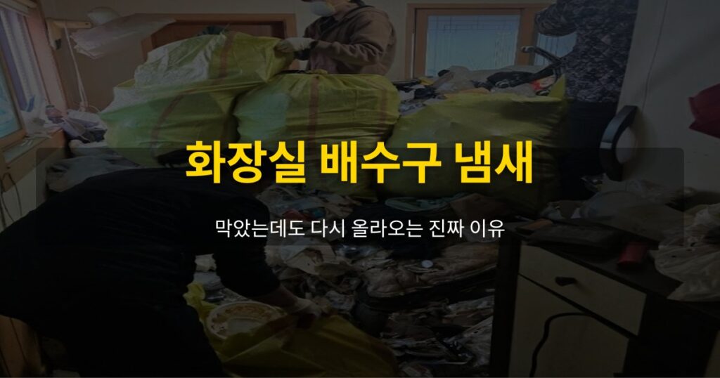 화장실 배수구 냄새, 막았는데도 다시 올라오는 진짜 이유 - 여운 special-cleaning-tips