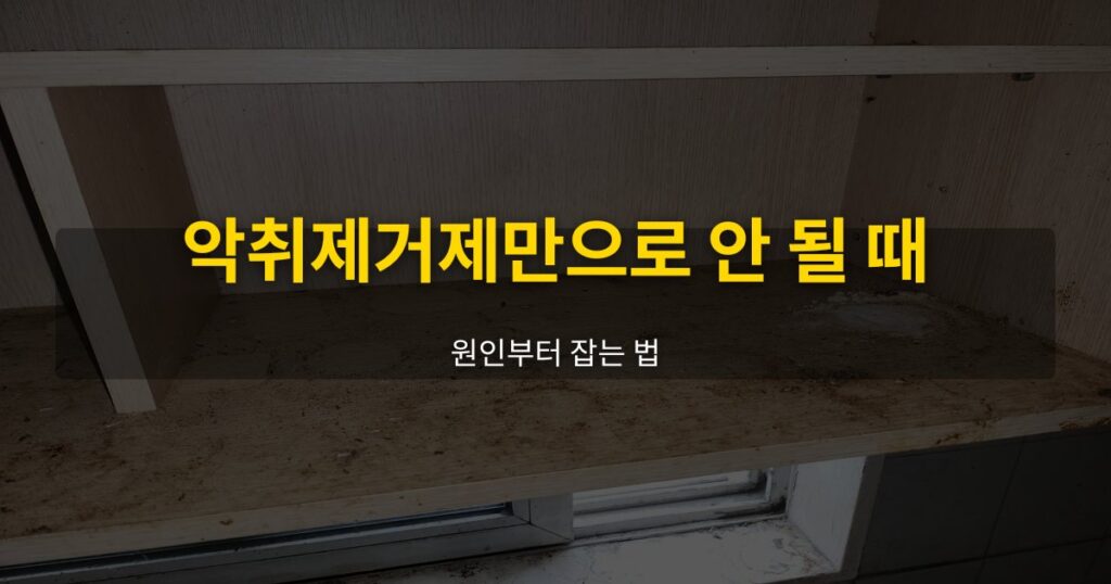 악취제거제만으로 안 될 때, 원인부터 잡는 법 - 여운 special-cleaning-tips