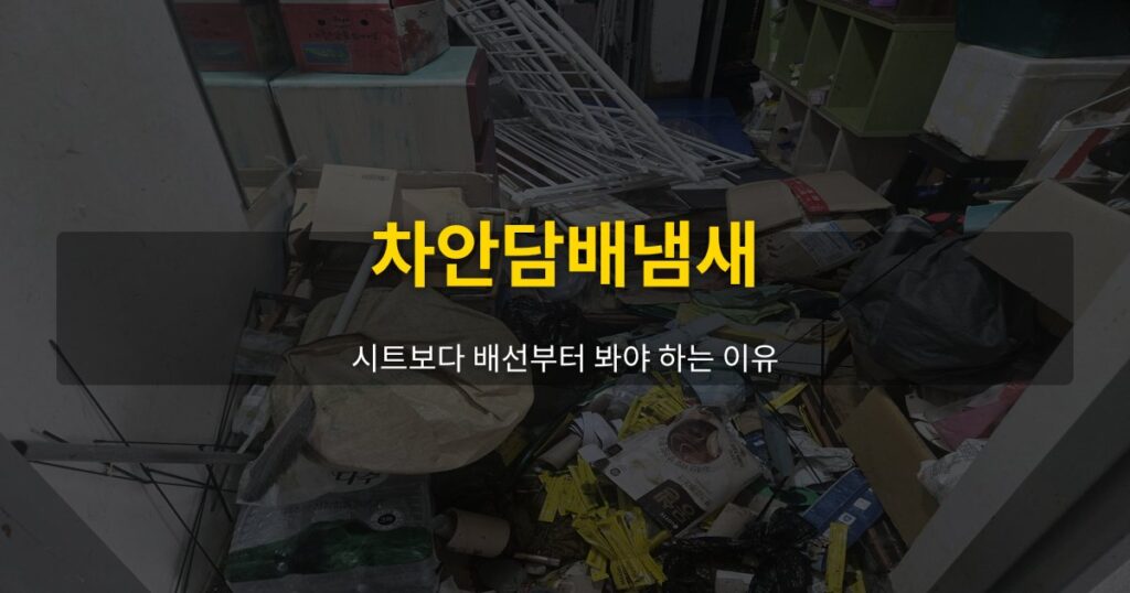 차안담배냄새, 시트보다 배선부터 봐야 하는 이유 - 여운 special-cleaning-tips