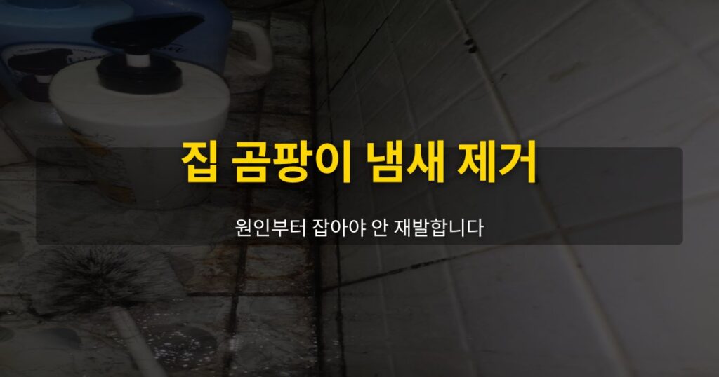 집 곰팡이 냄새 제거, 원인부터 잡아야 안 재발합니다 - 여운 special-cleaning-tips