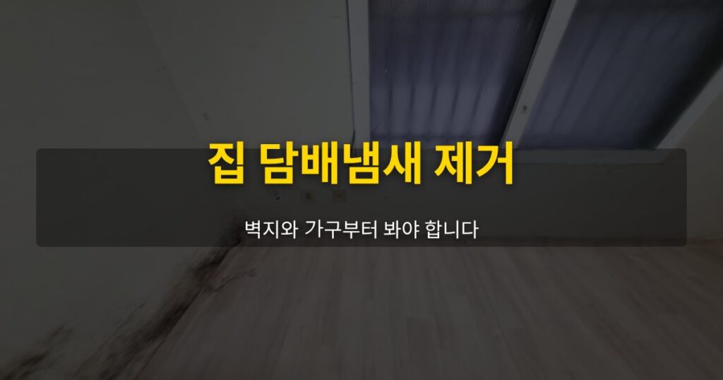 집 담배냄새 제거, 벽지와 가구부터 봐야 합니다 - 여운 special-cleaning-tips