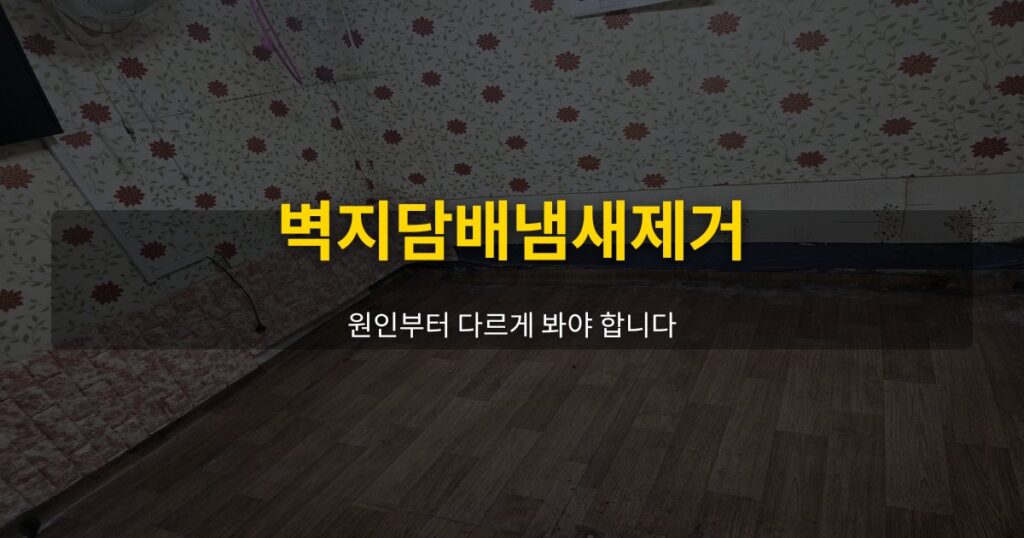 벽지담배냄새제거, 원인부터 다르게 봐야 합니다 - 여운 special-cleaning-tips