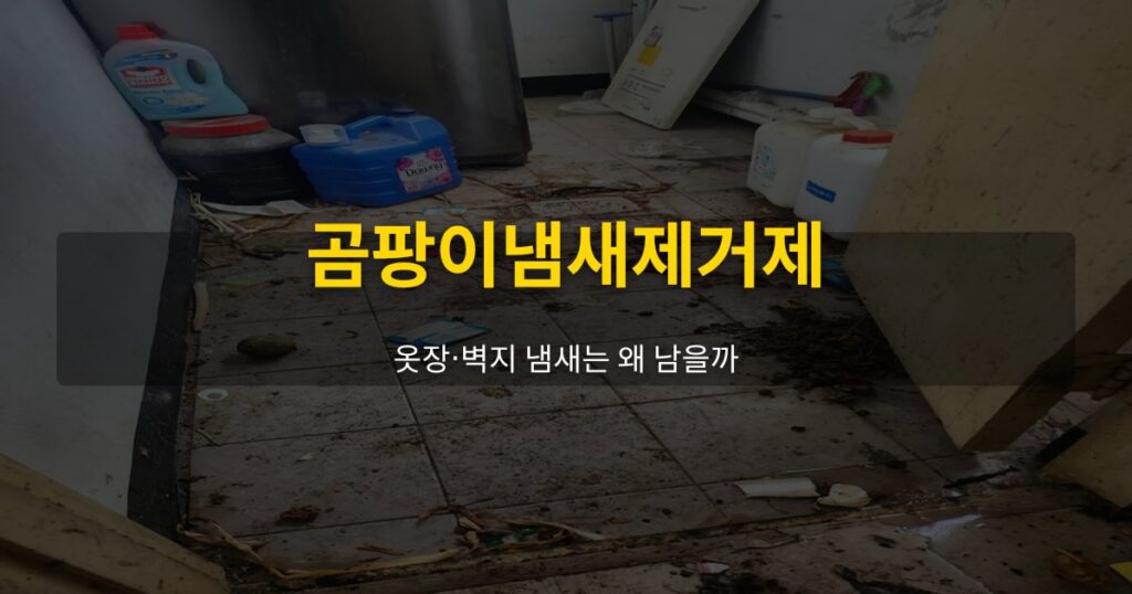 곰팡이냄새제거제, 옷장·벽지 냄새는 왜 남을까 - 여운 special-cleaning-tips