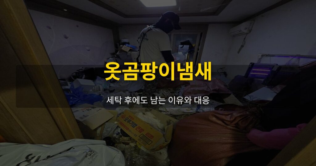 옷곰팡이냄새, 세탁 후에도 남는 이유와 대응 - 여운 special-cleaning-tips