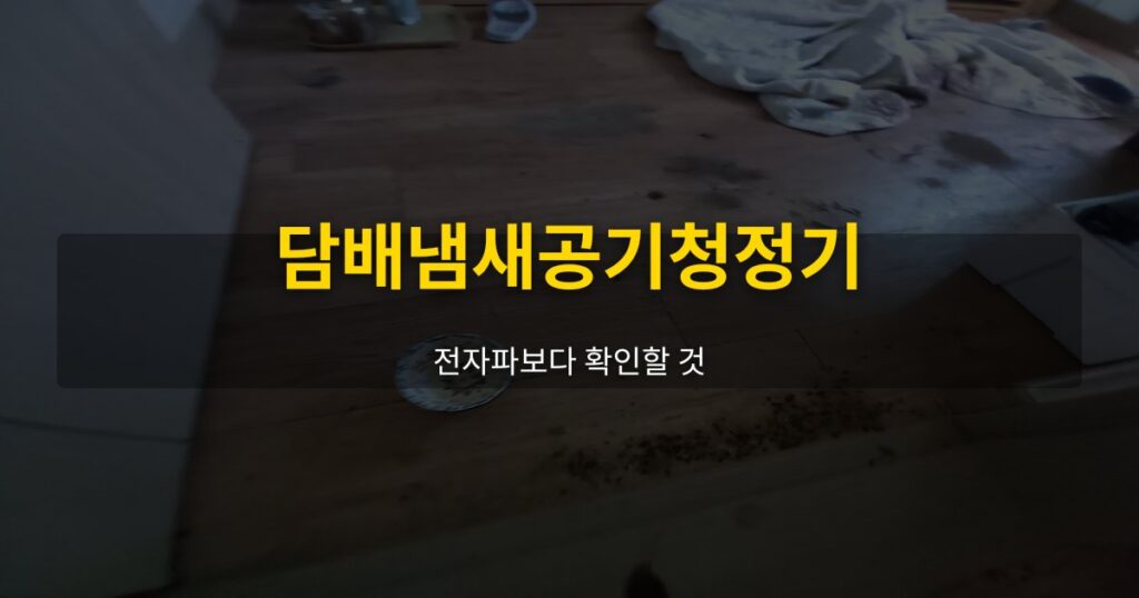 담배냄새공기청정기, 전자파보다 확인할 것 - 여운 special-cleaning-tips
