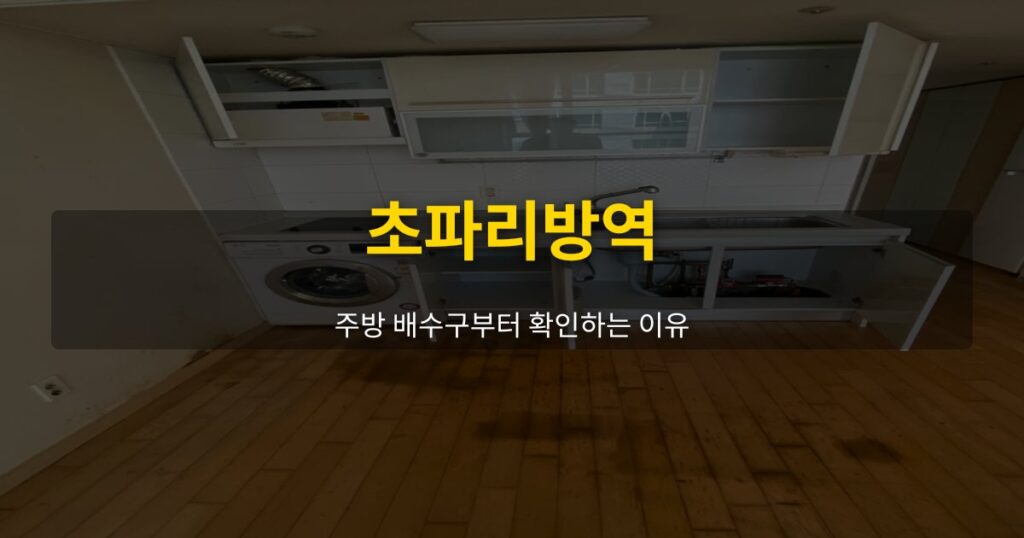 초파리방역, 주방 배수구부터 확인하는 이유 - 여운 special-cleaning-tips