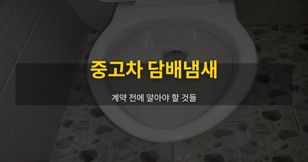 중고차 담배냄새, 계약 전에 알아야 할 것들 - 여운 special-cleaning-tips