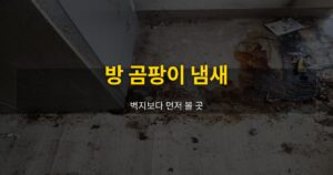 방 곰팡이 냄새, 벽지보다 먼저 볼 곳 - 여운 special-cleaning-tips