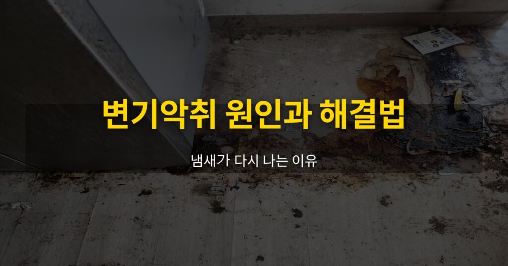 변기악취 원인과 해결법, 냄새가 다시 나는 이유 - 여운 special-cleaning-tips