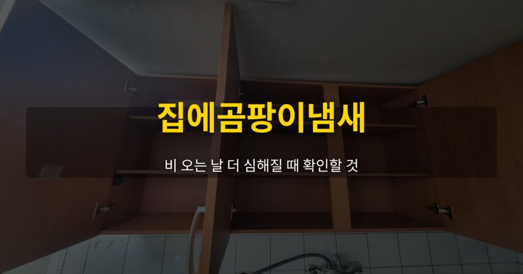 집에곰팡이냄새, 비 오는 날 더 심해질 때 확인할 것 - 여운 special-cleaning-tips